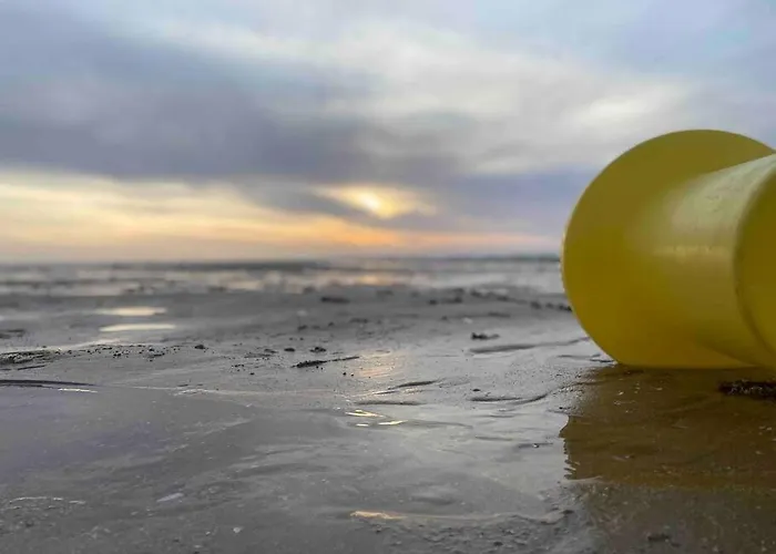L'échappée Cabourgeaise * Cabourg